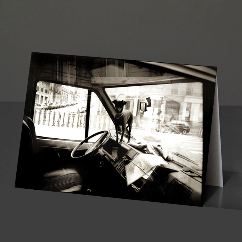 3- Card Design 147 Dog in Car-Paris BW
