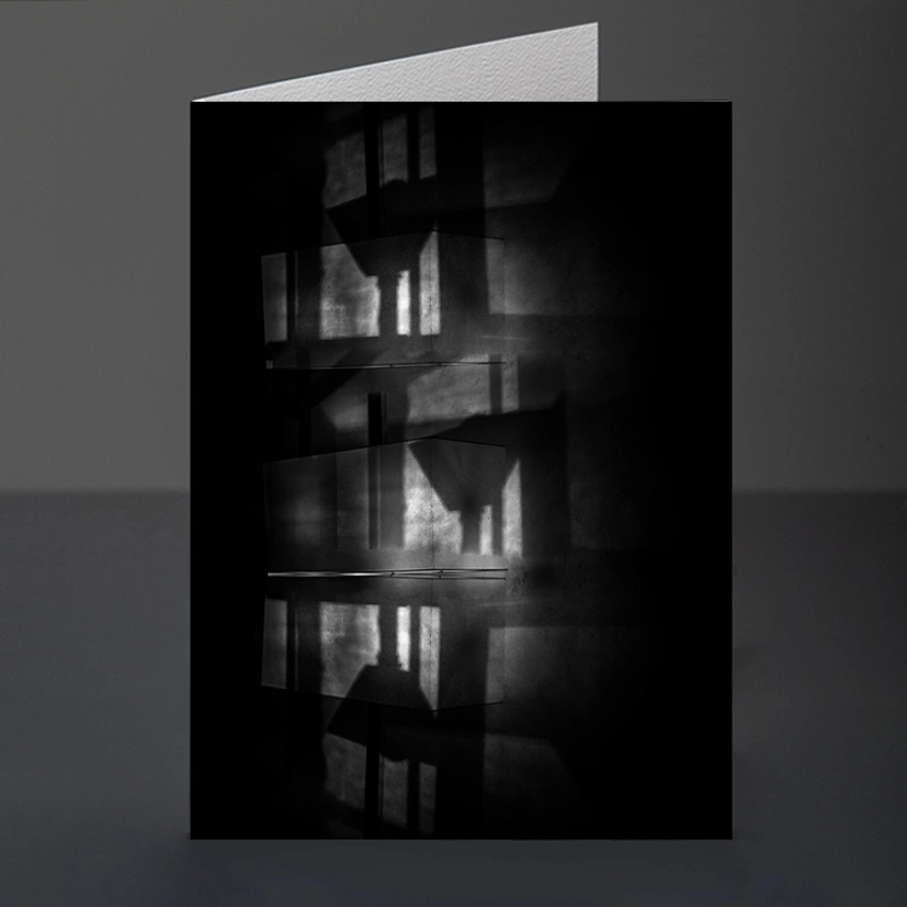 50- Venice Artwork 486 Mashup V4 BW Display