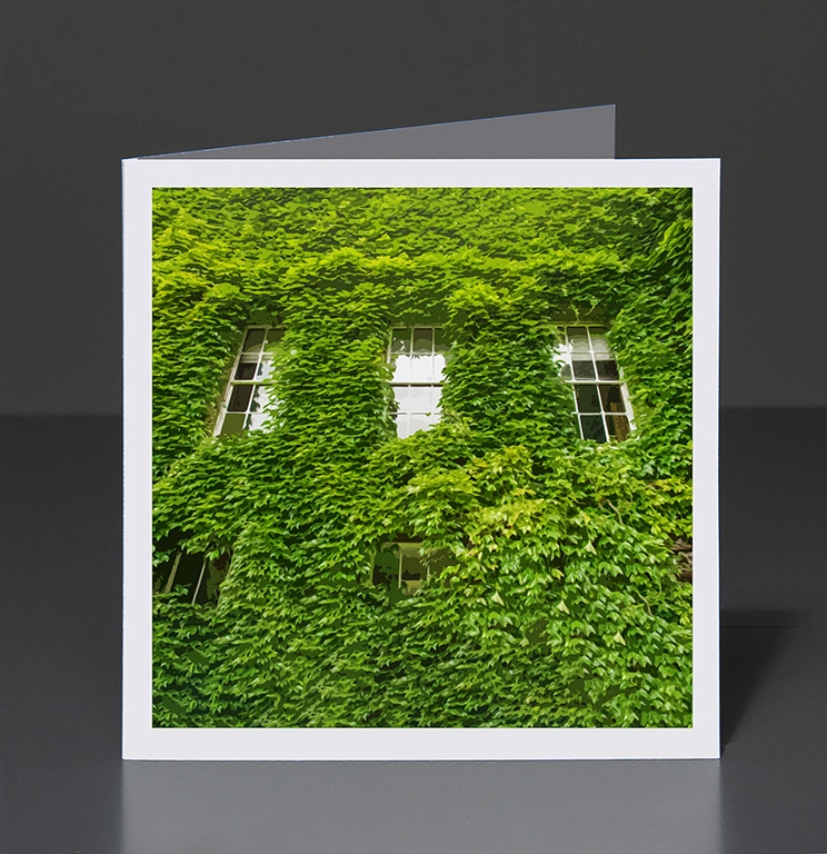 53- Display LONDON IVY WALL 01