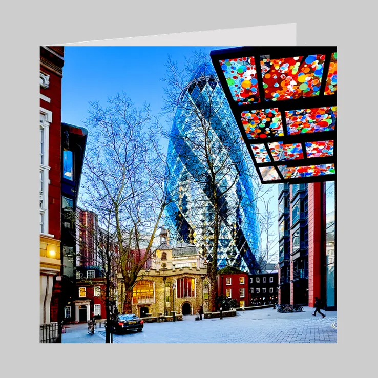 Gherkin 545-B DISPLAY FF copy